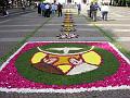00 - Infiorata 2008 (8)